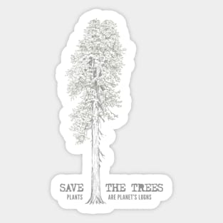 Redwood Forest | Redwood Tree | Plant a Tree For Charity - Tree Planting Project Sticker